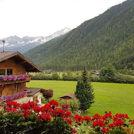 Appartamento Griesshof Neustift im Stubaital Esterno foto