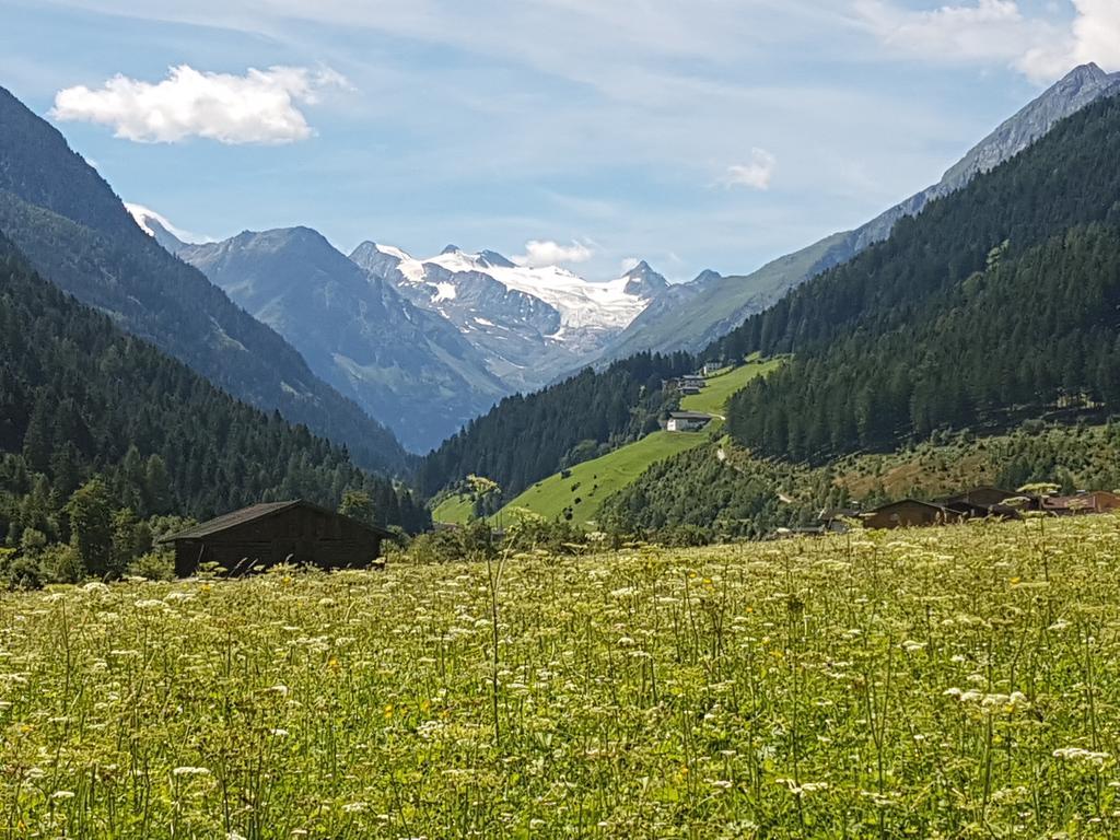 Appartamento Griesshof Neustift im Stubaital Esterno foto